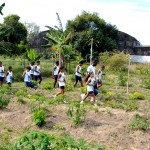 Educação Ambiental